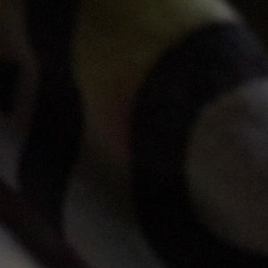 Meet your Posher, Coco